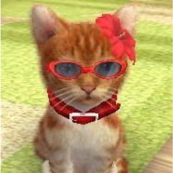 queenamy0317_